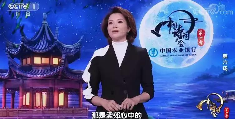 董卿中国诗词大会开场词集锦,董卿诗词开场完整版