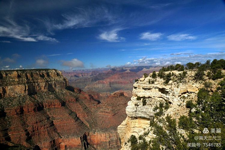 鍖楃編鏋儏闃虫柊,鍖楃編鏋儏鍥剧墖