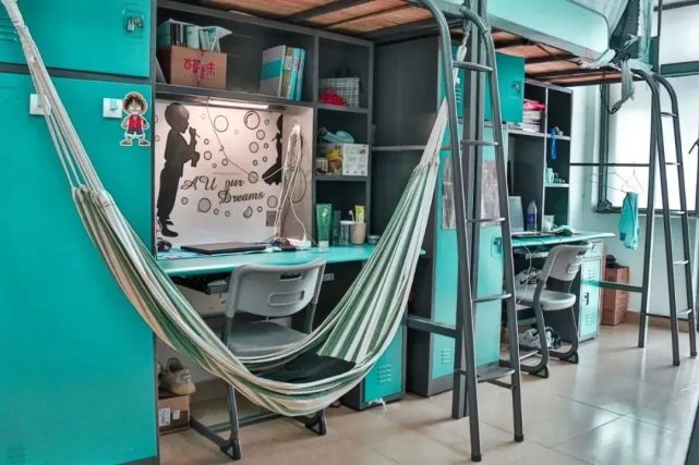 广东岭南职业技术学院2024分数,广东岭南职业技术学院志愿填报