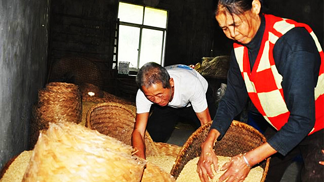 米面如何不起虫子,米面里生虫子该怎么处理