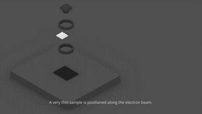 电镜结构解析,电镜的原理和操作