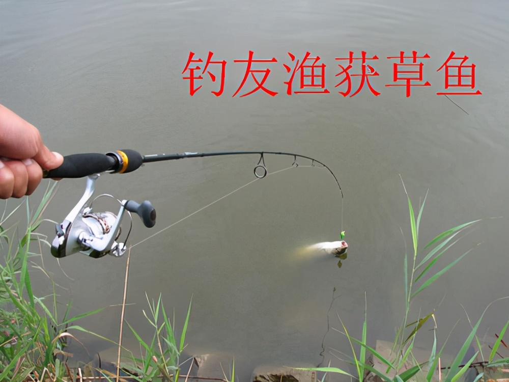 浮钓草鱼钓组怎么用,浮钓草鱼新型钓组