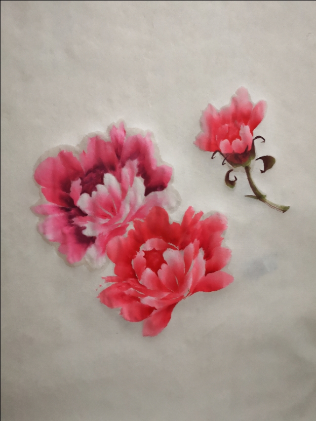 国画牡丹十字绣教程,牡丹图国画精品欣赏