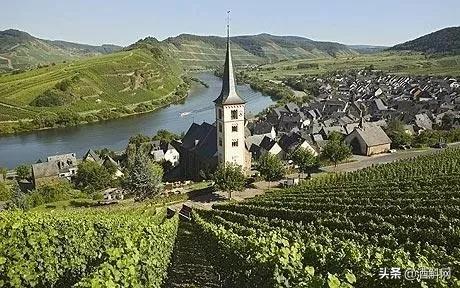 学懂几个德国单词！3月参加ProWein+喝葡萄酒