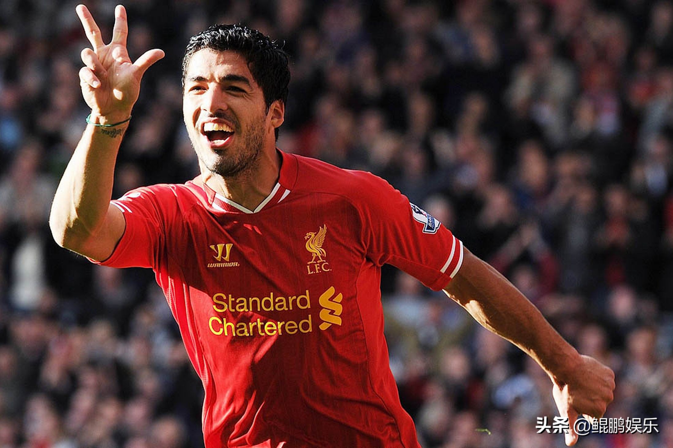 乌拉圭足球苏亚雷斯,美洲杯乌拉圭苏亚雷斯