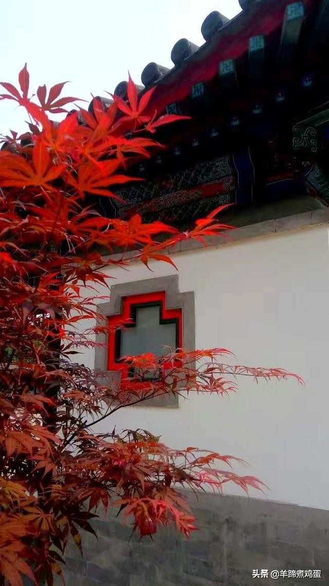 游玩北京香山公园之行,7月的北京香山公园图片