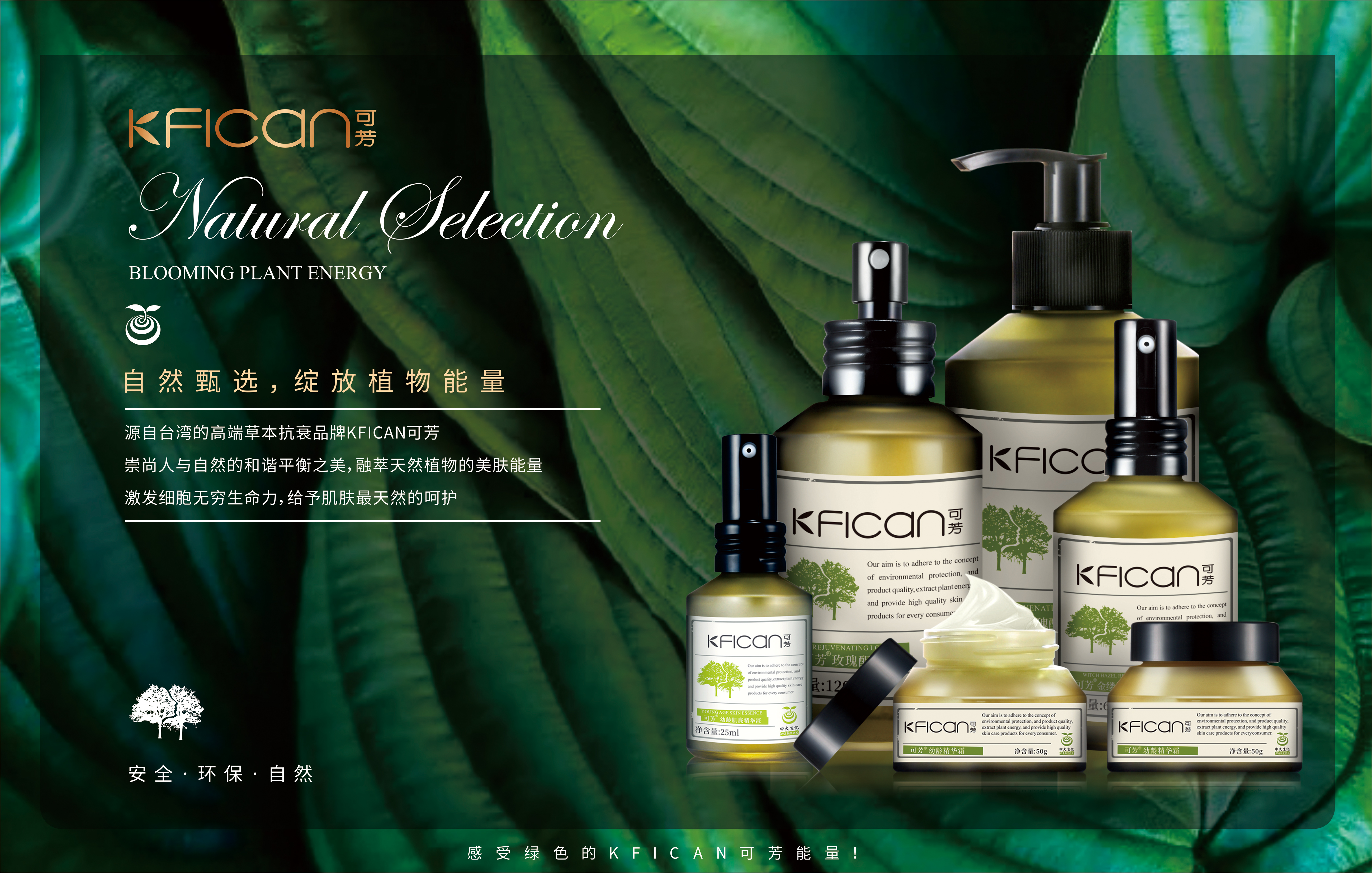 植物的能量和疗愈,植物的灵性和疗愈的力量