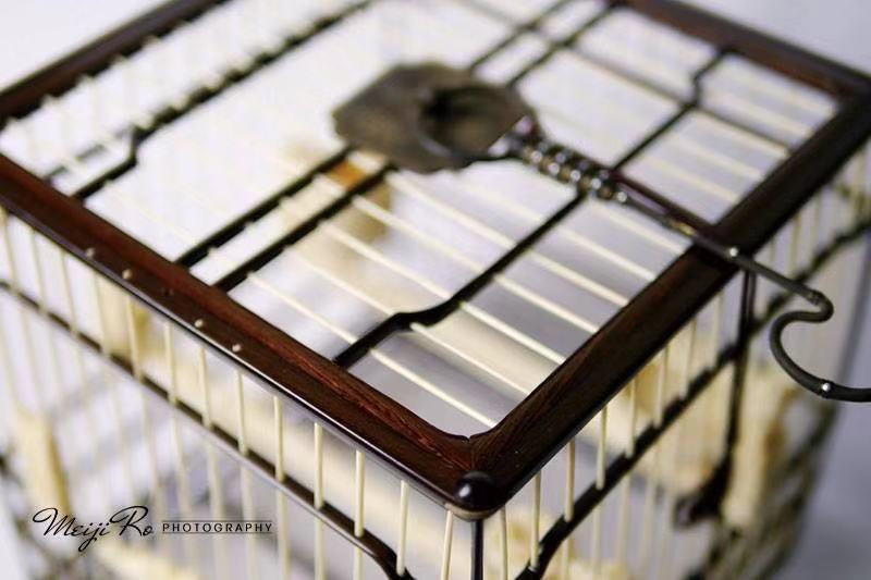 铁鸟笼制作方法全过程视频,中国传统文化鸟笼