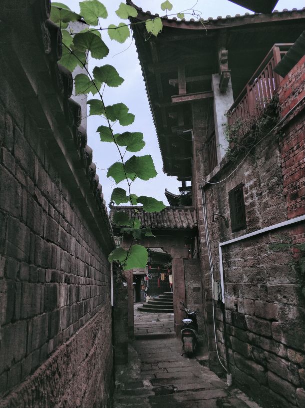 义渡古镇和走马古镇,走马古镇值不值得去