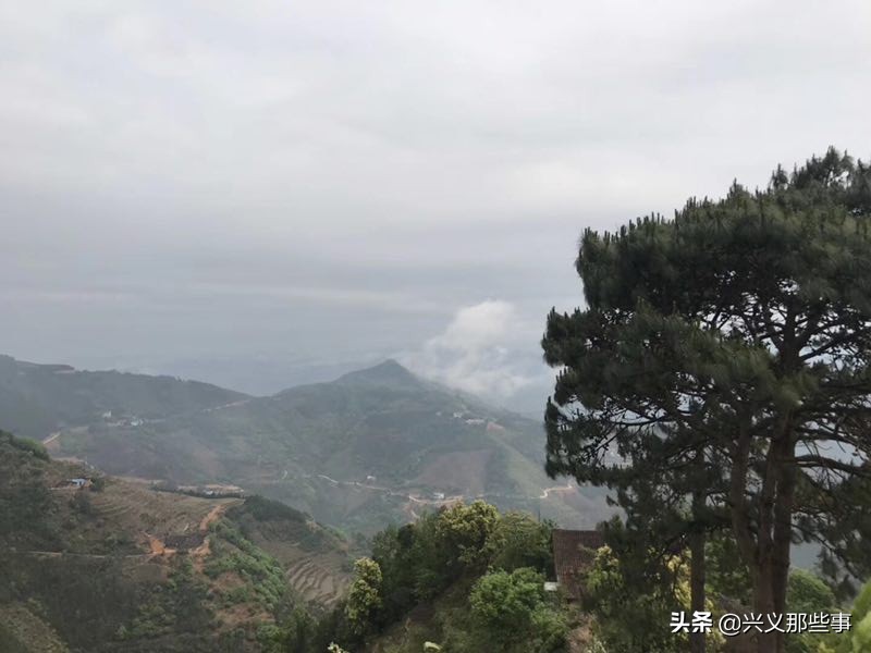 贵州仓更板栗基地地址,贵州板栗在哪里