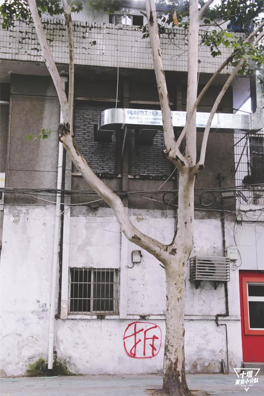 2019年，我们吃了300+家店，一次性都给你！必须收藏