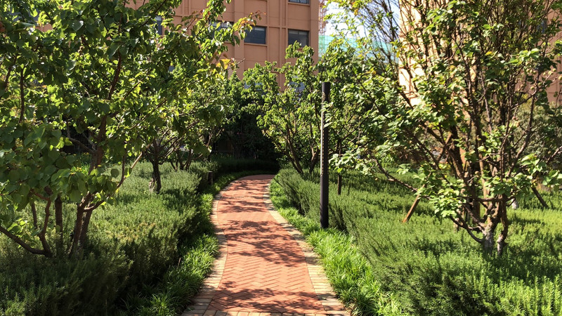 昆明旅游攻略住宿酒店自由行推荐,昆明市中心旅游攻略住宿酒店推荐