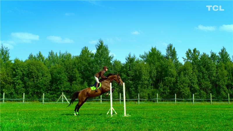 当贝b1s盒子测评,当贝os盒子怎么样