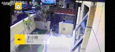 最壕狗窝!主人花3万5为爱宠造了个别墅,泳池和阳光房全都有