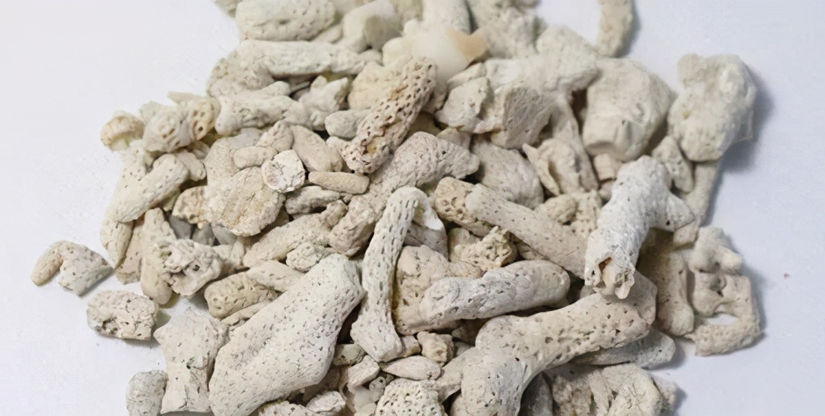 批量养钻纹龟最佳饲养方法,钻纹龟正确饲养方法