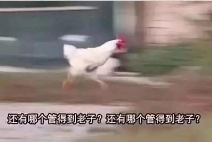 跟王一博一起采访,和王一博聊什么