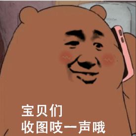 灰熊打电话表情包：你和游戏过日子去吧再见，让我流泪的坏男人