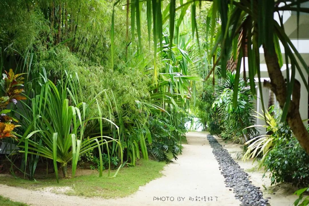 菲律宾冷门景区 (菲律宾锡基霍尔岛冲浪)