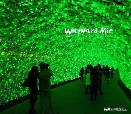 日本关西京都奈良旅游,日本关西自由行之奈良