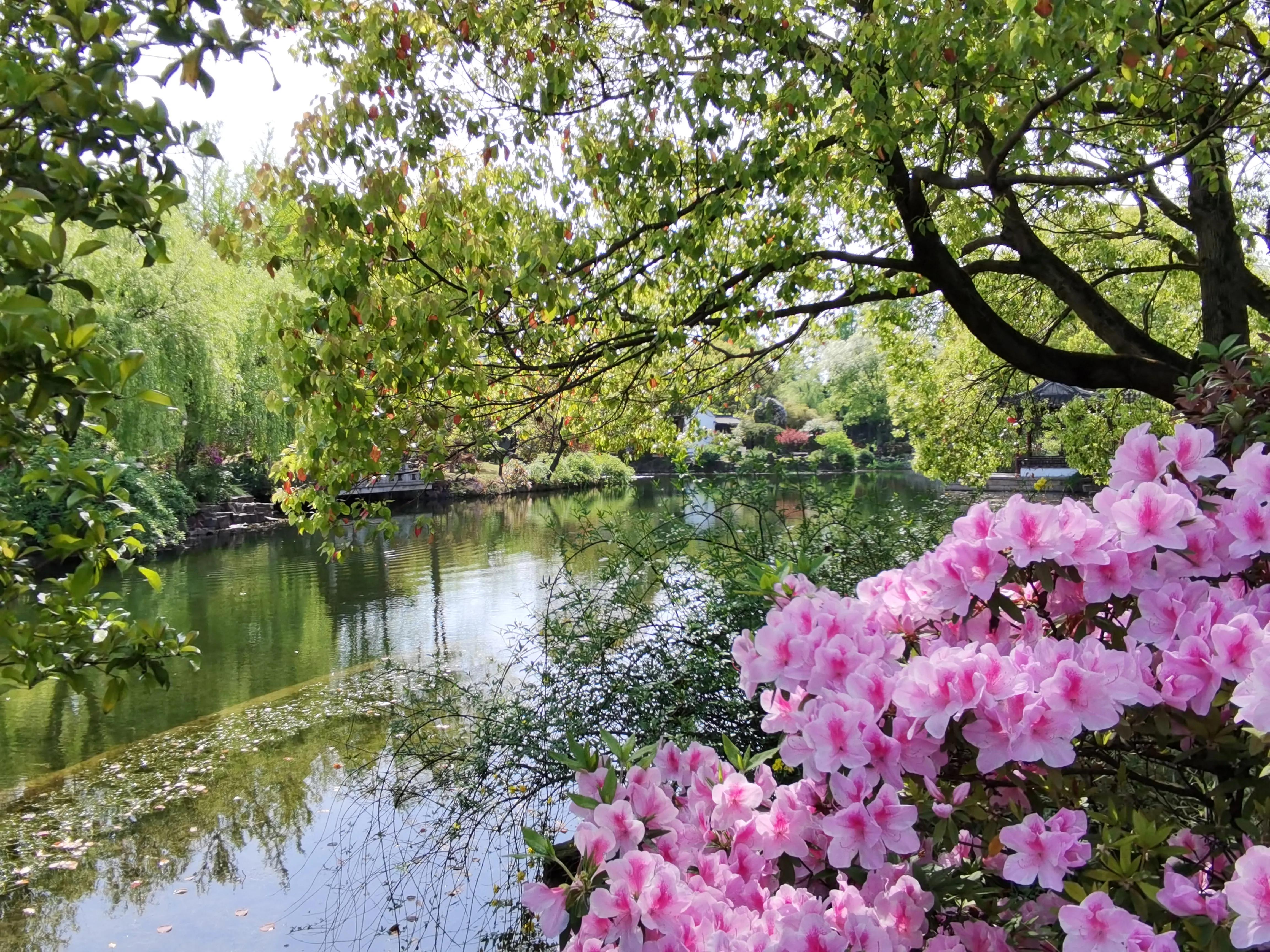 太仓南园在哪里,南园太仓