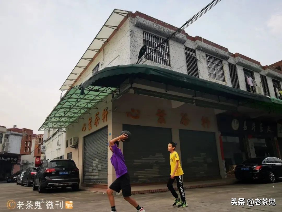 普洱茶界新闻事件,2021普洱茶十件大事