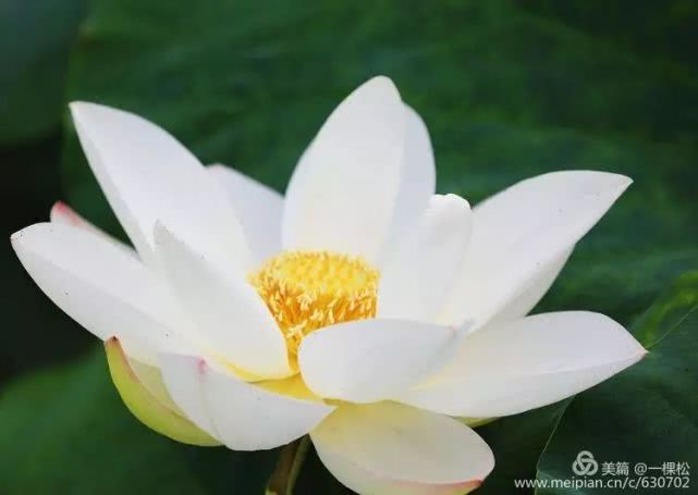 西乡周边景色美的地方,西乡哪里有夜景好看的