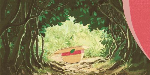 宫崎骏龙猫中一共有多少只龙猫,宫崎骏龙猫动画电影大全