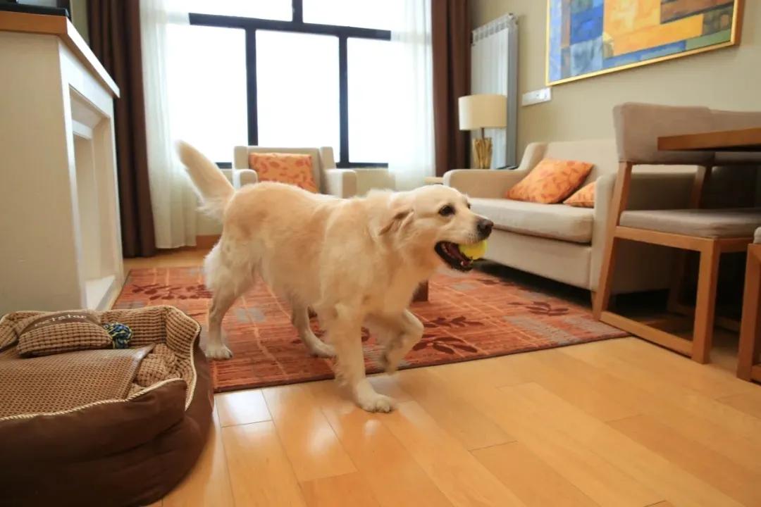 白山10月旅游攻略自助游线路,五一白山周边2-3天短途旅游