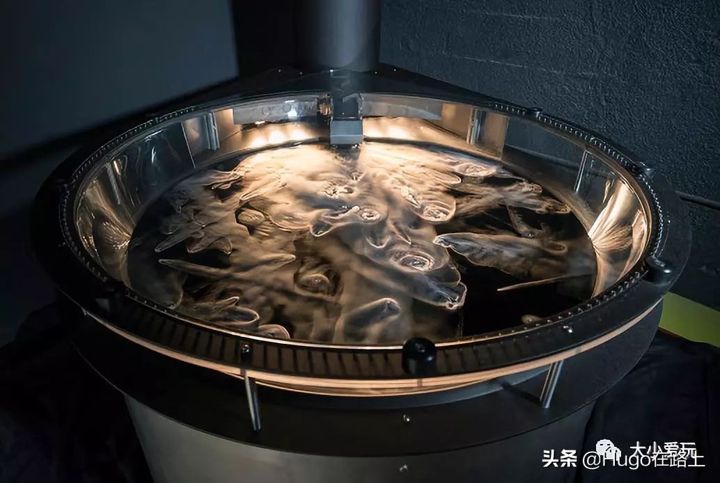 去香港亲子旅行攻略路线图片,香港亲子游最佳路线图