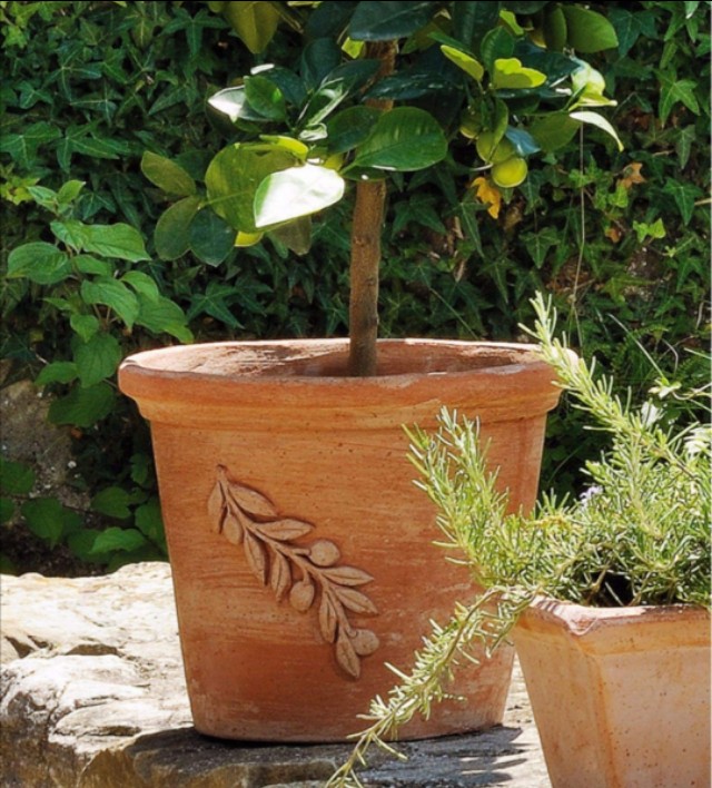 铝塑花盆跟陶盆哪个比较好,陶盆瓷盆塑料盆差距