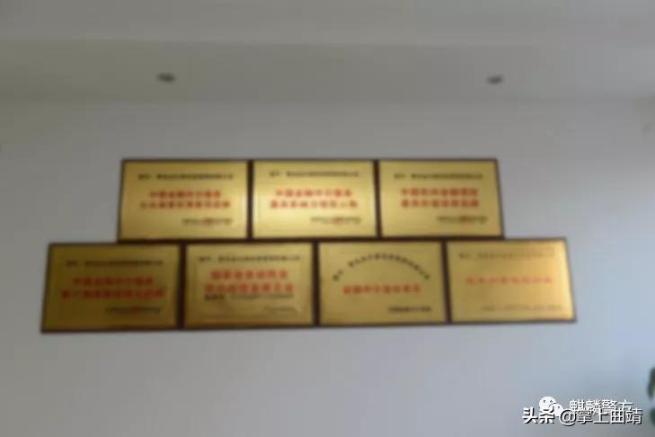 曲靖麒麟区近期被骗事件,云南曲靖被诈骗案件