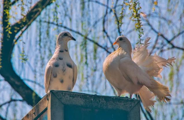 中国*产党共**创办的第一所高等学府，以城市名字命名，孙中山、毛*东泽**直接关怀！