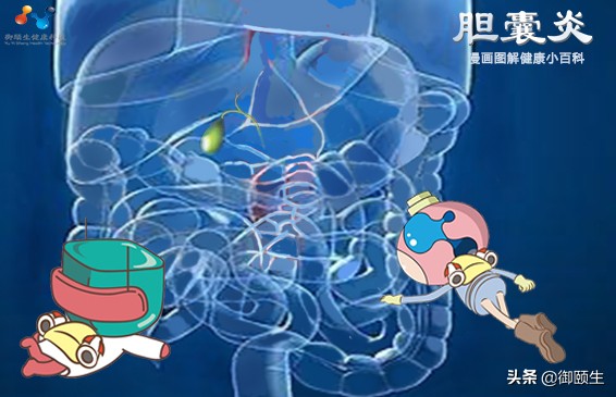 春天胆囊炎容易复发,如何判断是胆囊炎还是胃病