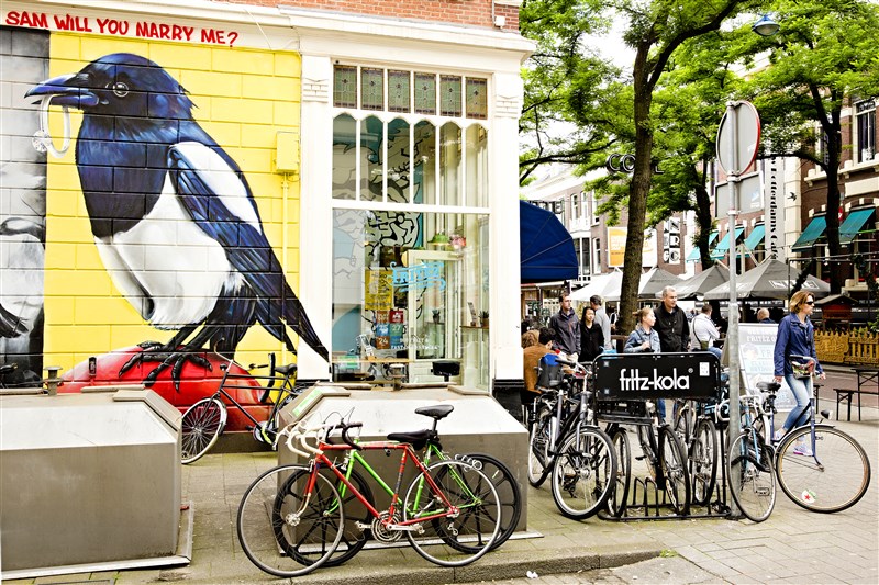 骑行荷兰,荷兰旅行攻略旅游线路怎么走