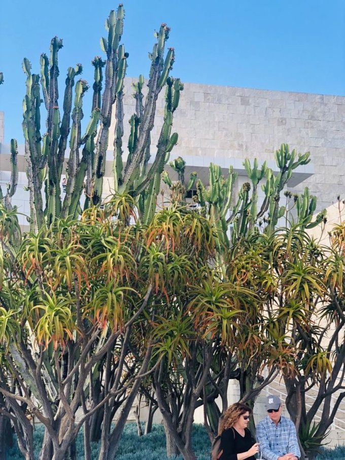 美国洛杉矶旅游七日游费用,美国洛杉矶旅游攻略视频