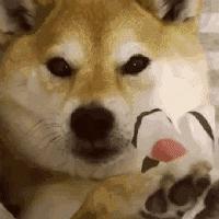 百诺恩纸尿裤真假,凯儿得乐和百诺恩纸尿裤哪个好