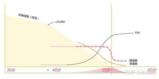 黄体酮胶丸有什么用,黄体酮胶丸有什么作用