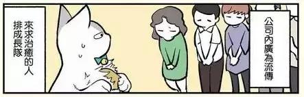 假如自己变成猫是什么体验,从人类变成猫是什么体验