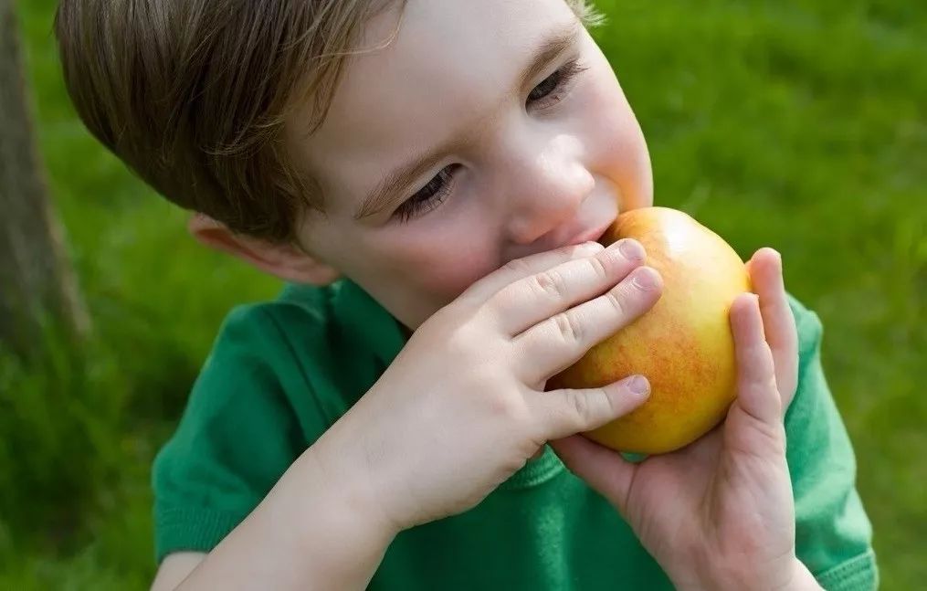 一斤苹果卖15元,种植的苹果能卖多少钱一斤