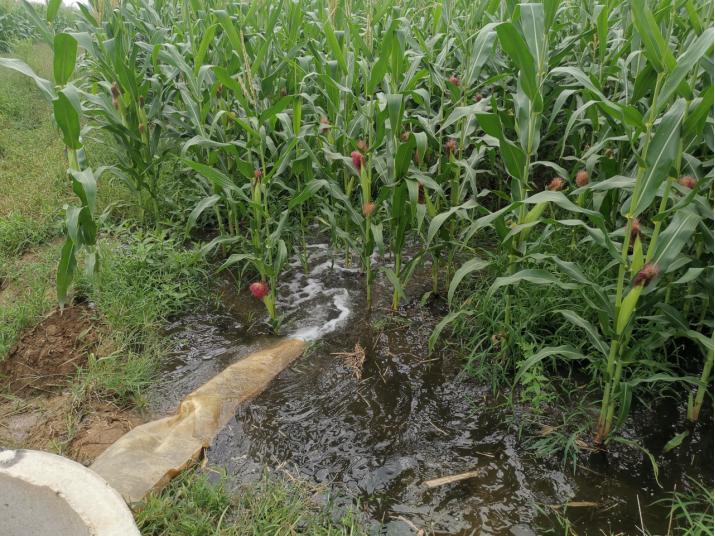 抓六稳促六保打好民生保障攻坚战,抓六保促六稳项目