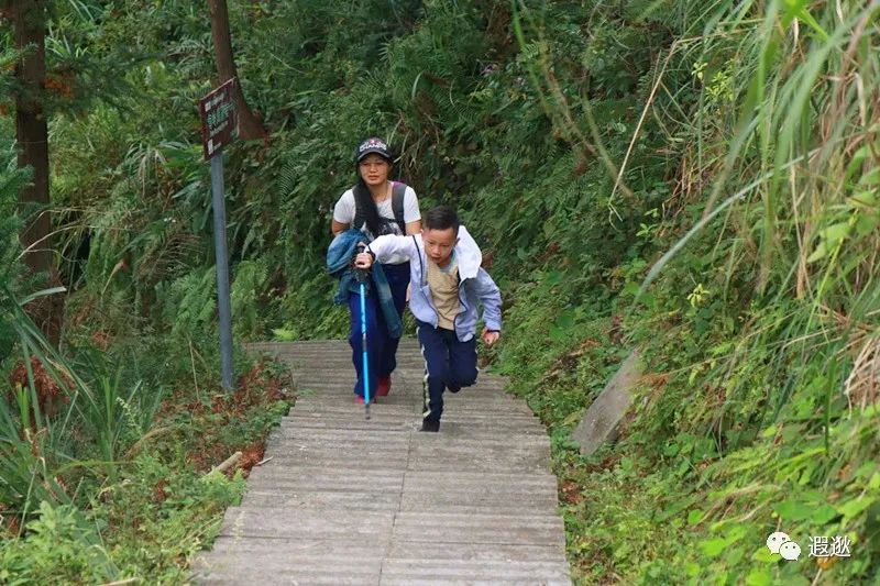 乐清仙溪有哪里好玩的 (乐清仙溪镇景点)