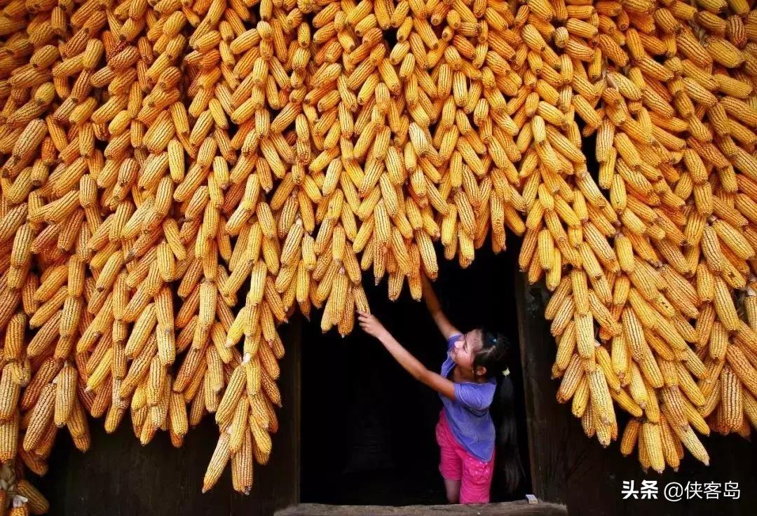 侠客岛：乡愁里的中国