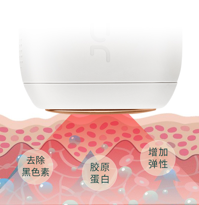 摆脱毛发稀疏,摆脱脚后跟龟裂获得光滑的白脚