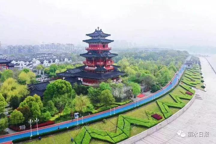 红色新丽水,红色浙西南央视