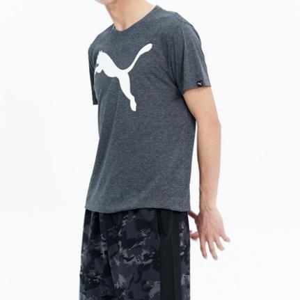 每日好车报价,每日好价