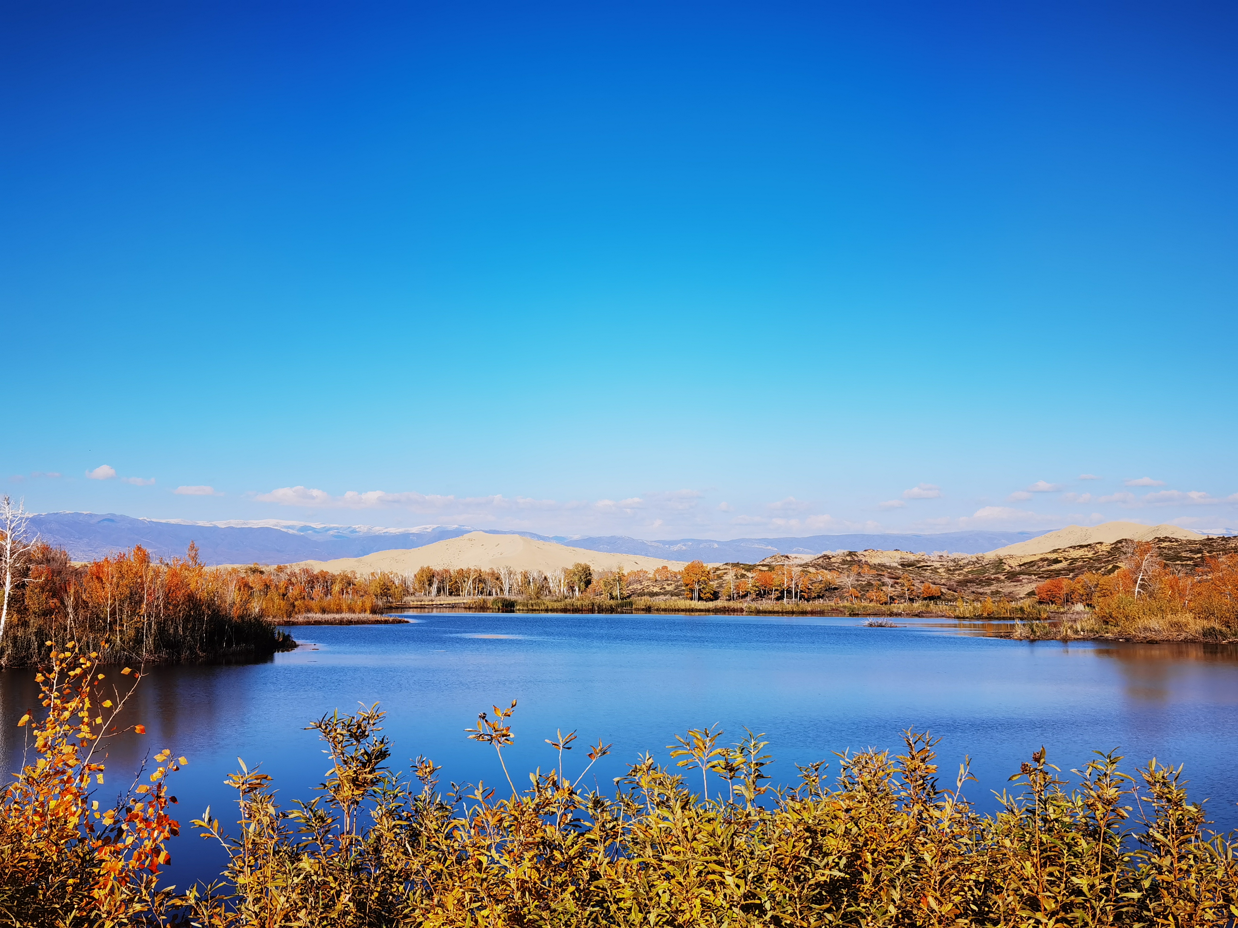 自驾游*疆新**：原来你是这样的白沙湖