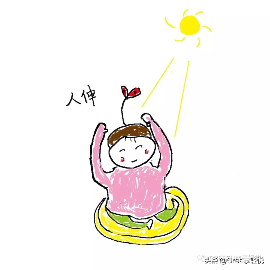 人参党参黄芪一起服用功效,人参和党参哪个补气效果好