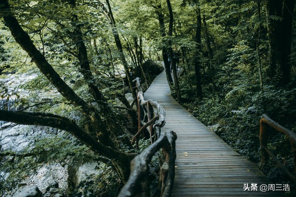 天堂寨和白马大峡谷是一个景区吗,天堂寨白马峡谷有意思吗