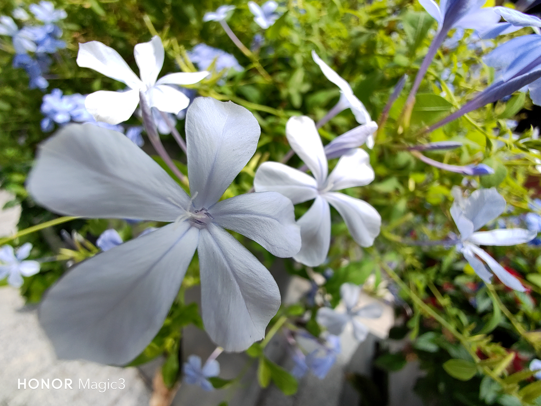 荣耀magic3评测科技美学,荣耀magic3算是顶级旗舰么