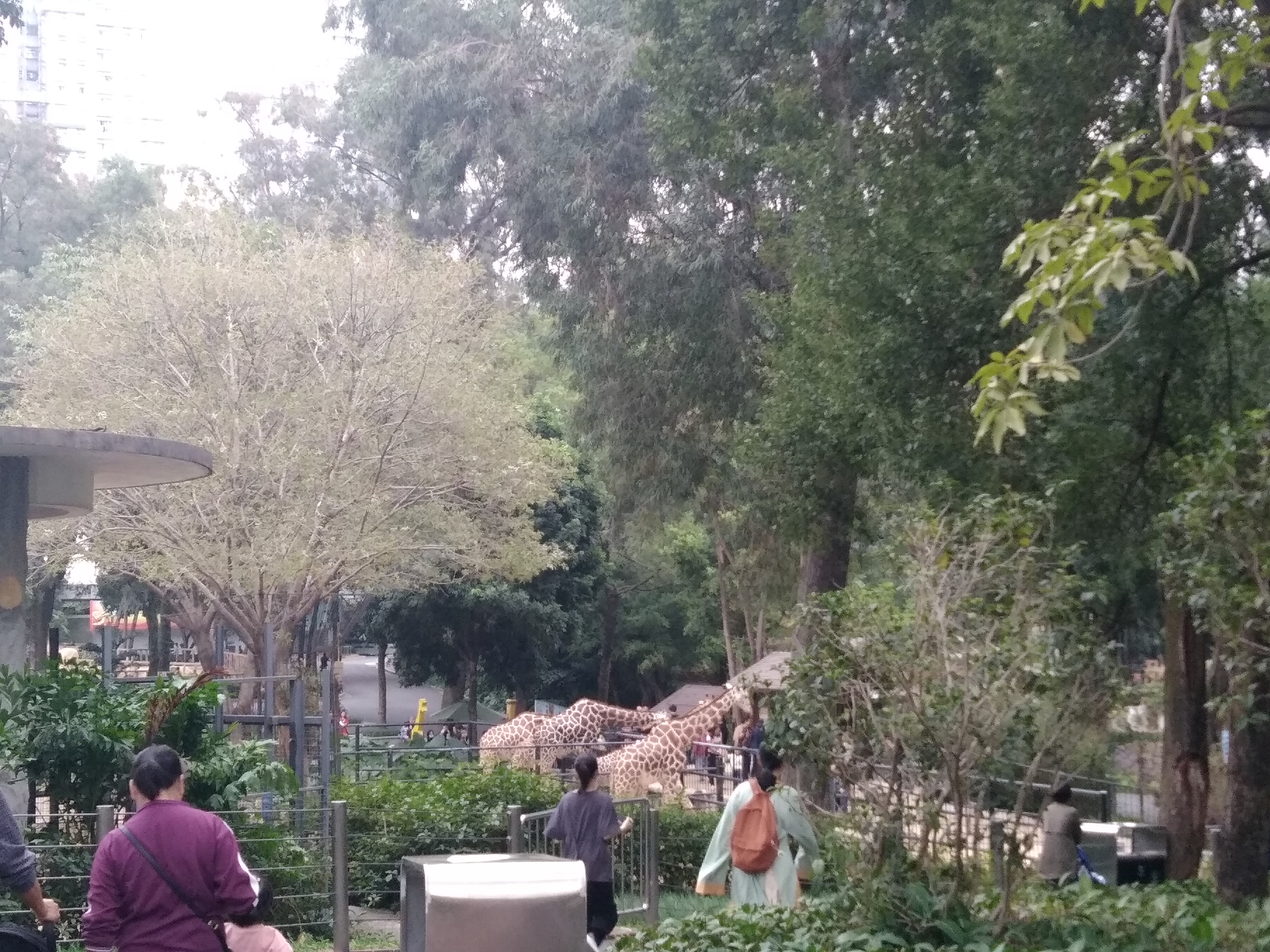 2022元旦广州有哪些好玩的地方,元旦广州哪里玩最合适